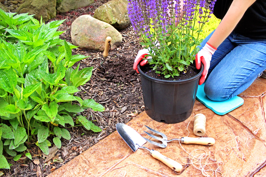 garden containers